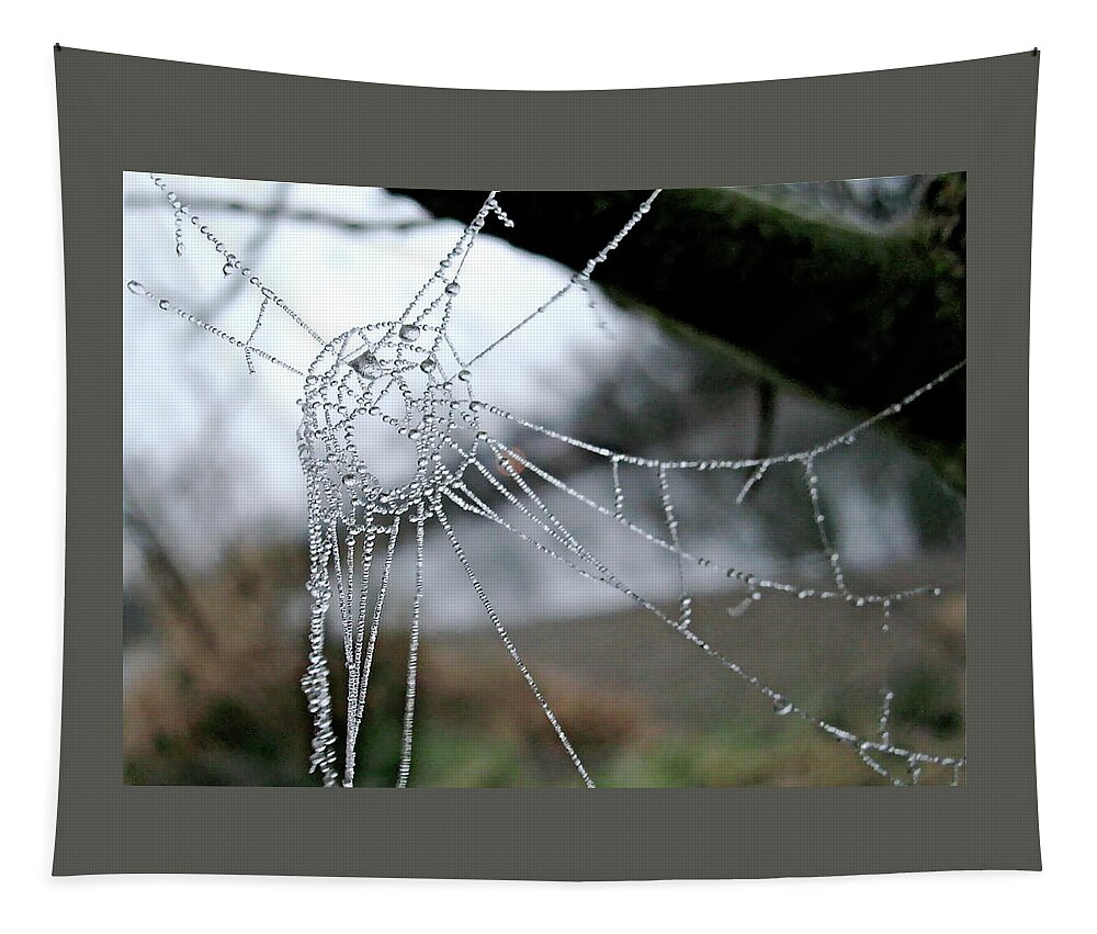 Spiderweb Tapestry featuring the photograph Dreamcatcher Spiderweb by Shirley Stevenson Wallis