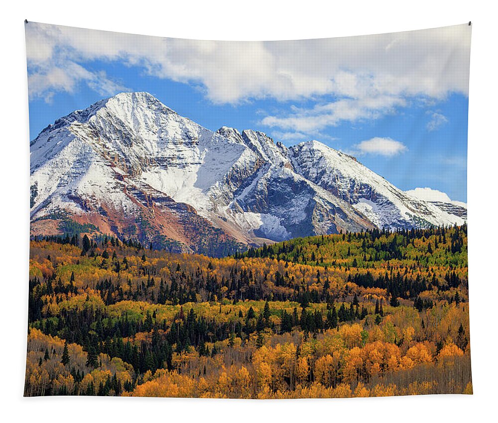 Art Tapestry featuring the photograph Dreams of Autumn by Rick Furmanek