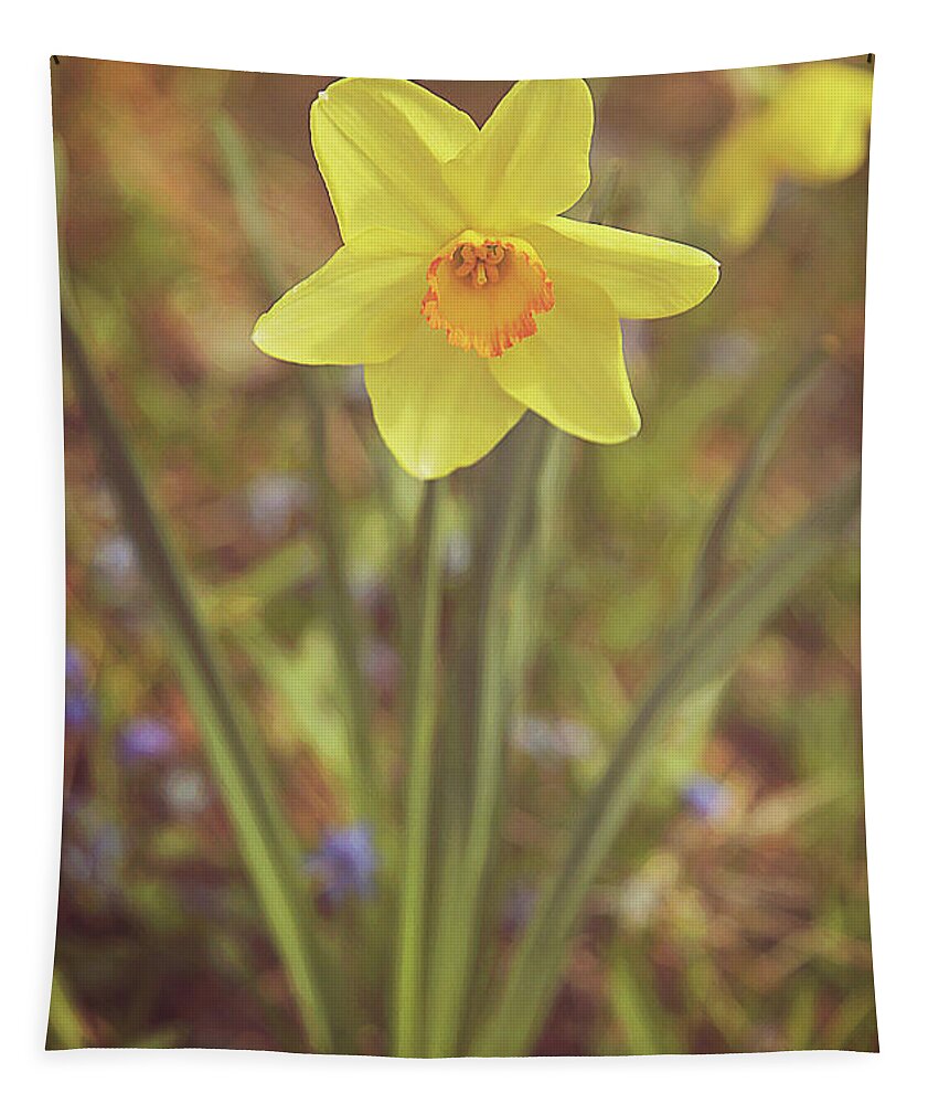 Dreamy Daffodil Tapestry featuring the photograph Dreamy Daffodil by Carrie Ann Grippo-Pike