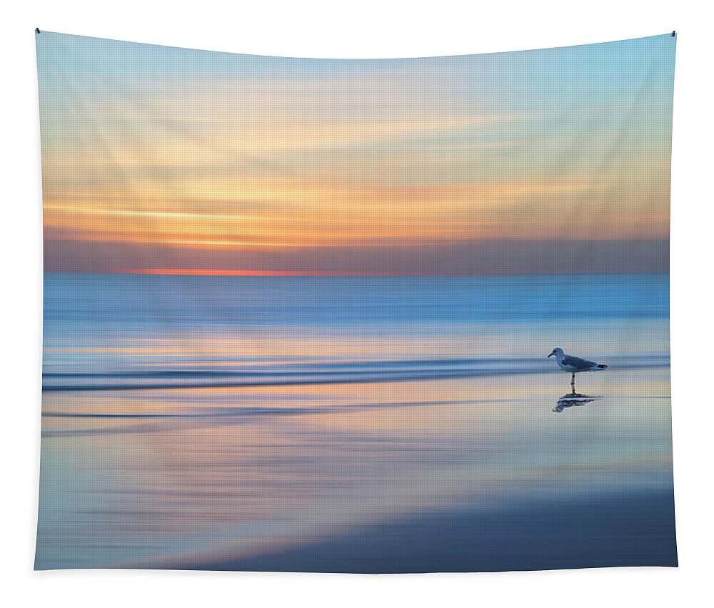 Bird Tapestry featuring the photograph Dreamy Dawn Walk by Debra and Dave Vanderlaan