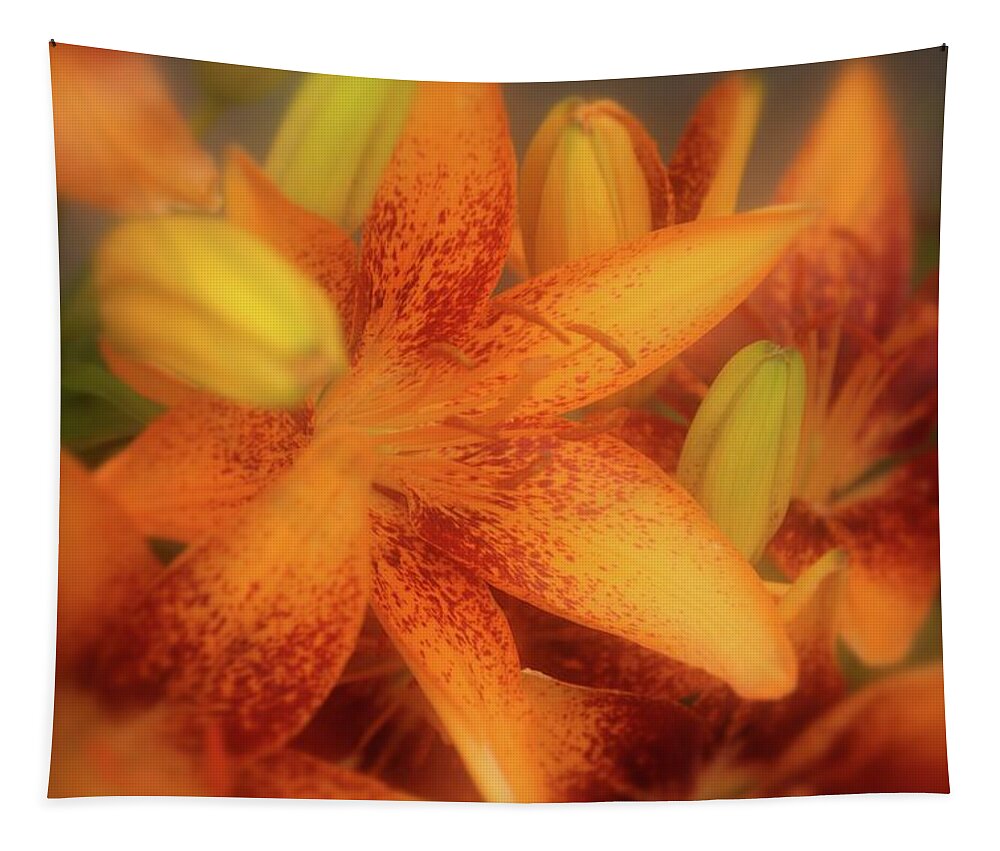 Lily Tapestry featuring the photograph Dreamy Orange Sensation Lily by Angie Tirado
