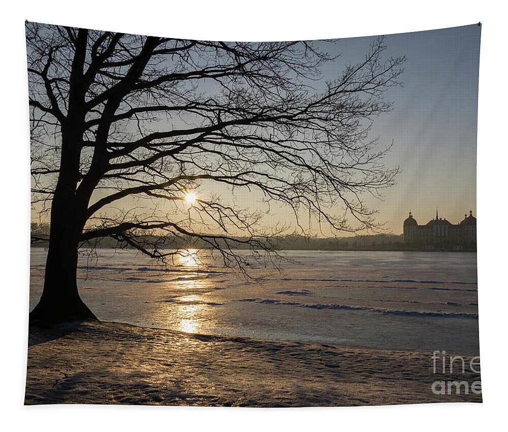 Dreamy Tapestry featuring the photograph Winter sunset at Moritzburg Castle 1 by Adriana Mueller