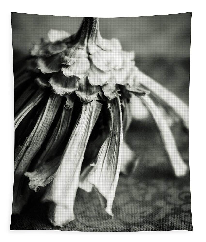 Zinnia Tapestry featuring the photograph Dried Zinnia, Black and White by W Craig Photography