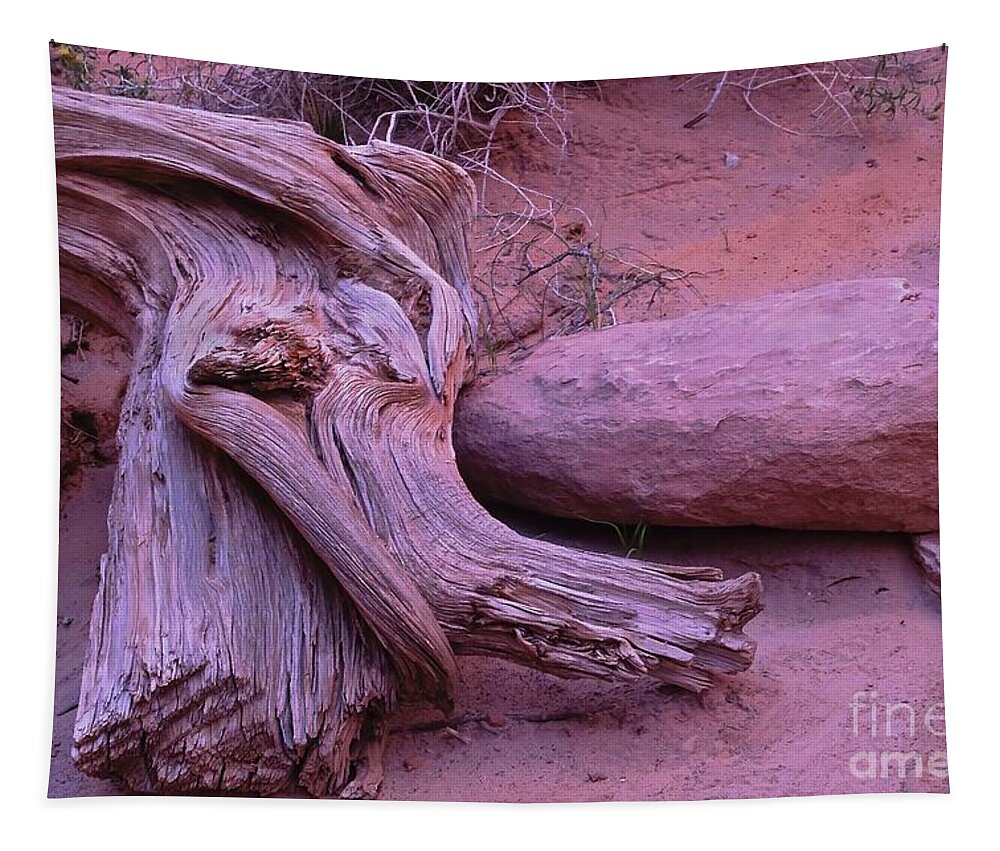 Driftwood Tapestry featuring the photograph Driftwood and Rock by Randy Pollard