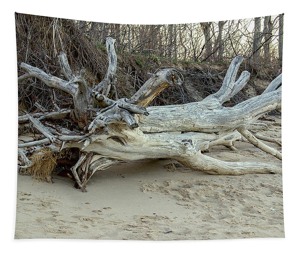 Driftwood Tapestry featuring the photograph Driftwood by Cathy Kovarik
