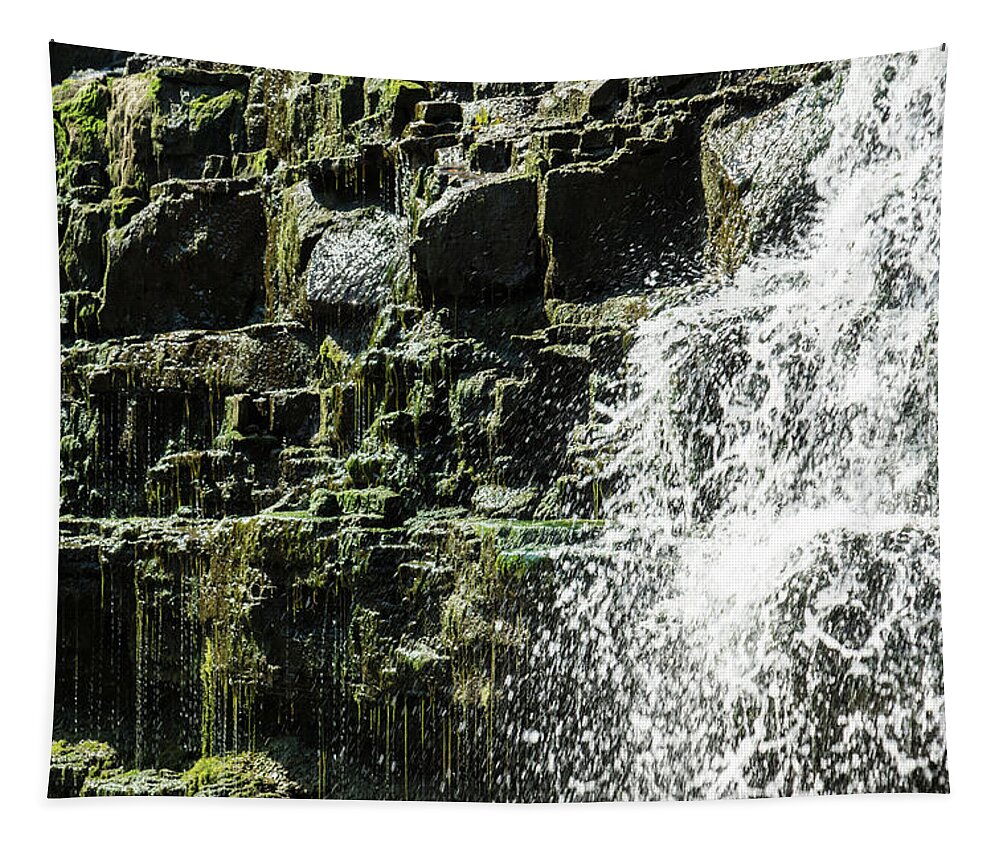 Dripping Water Tapestry featuring the photograph Dripping Moss and Sunny Splashes - Albion Falls Hamilton Ontario Canada by Georgia Mizuleva