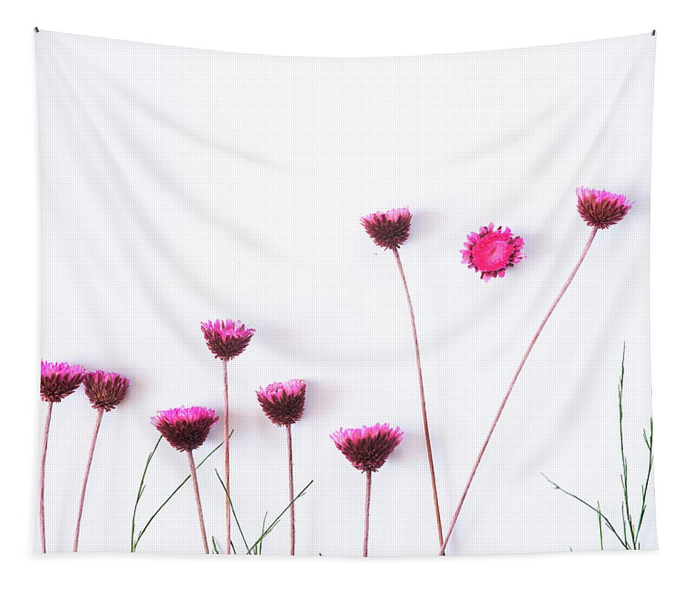 Dry Flowers Tapestry featuring the photograph Dry purple floral bouquet on white background. by Michalakis Ppalis