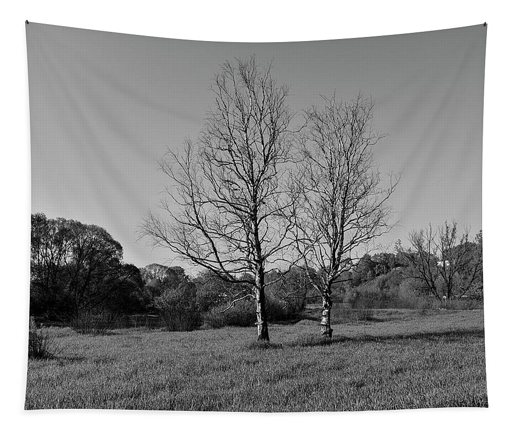 Trees Dry Out Over Time. B.w. Tapestry featuring the photograph Dry trees. by Sergei Fomichev