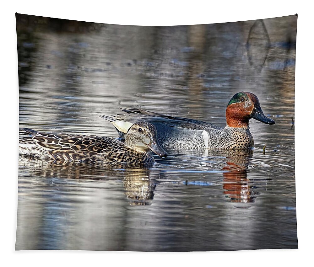 Duck Tapestry featuring the photograph Green Winged Teal Pair by Flinn Hackett