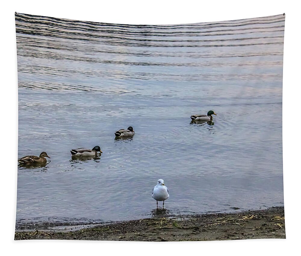 Ducks Tapestry featuring the photograph Ducks by Anamar Pictures