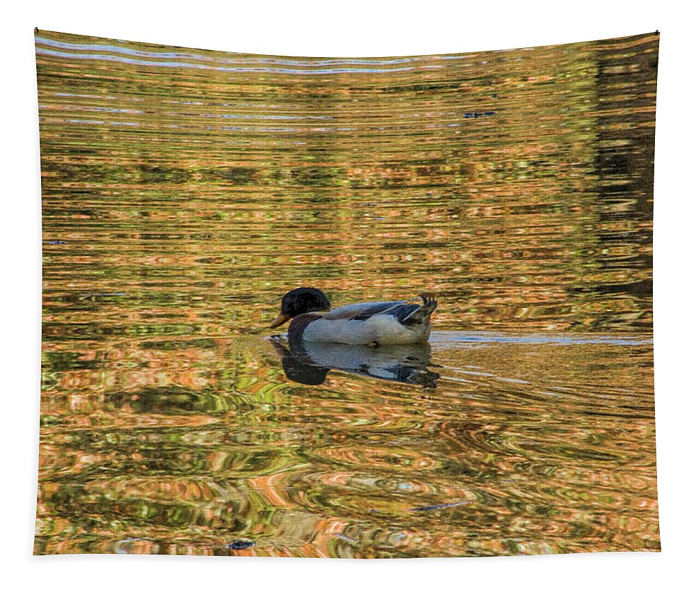 Duck Tapestry featuring the photograph Ducky on Gold Pond by Kathy Clark