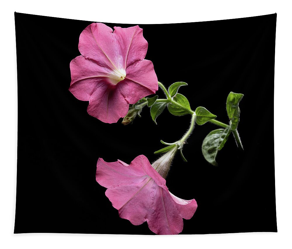 Duet Tapestry featuring the photograph Duet in the Spotlight by Kevin Suttlehan