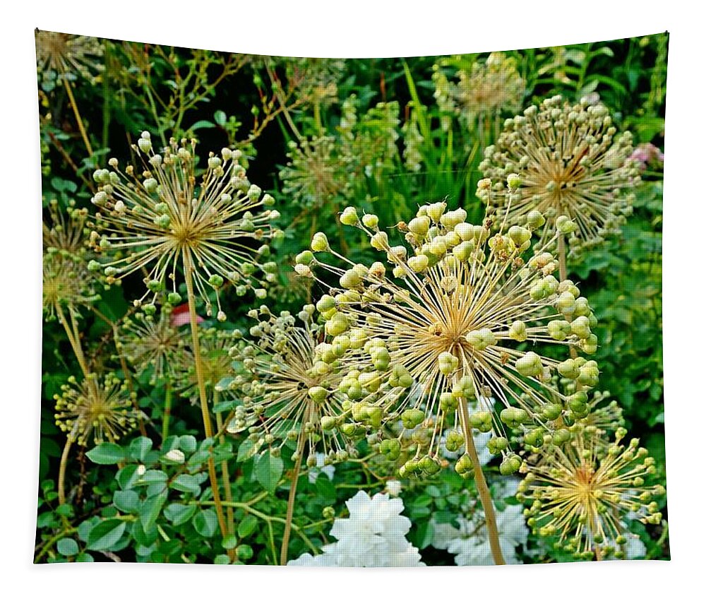 Duluth Tapestry featuring the photograph Duluth Rose Gardens Study 2 by Robert Meyers-Lussier