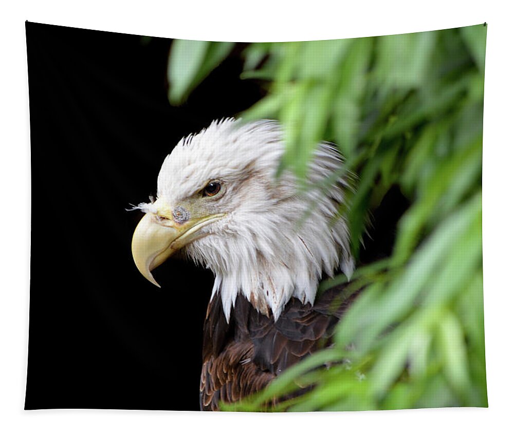 Eagle Tapestry featuring the photograph Eagle 2 by Deborah M