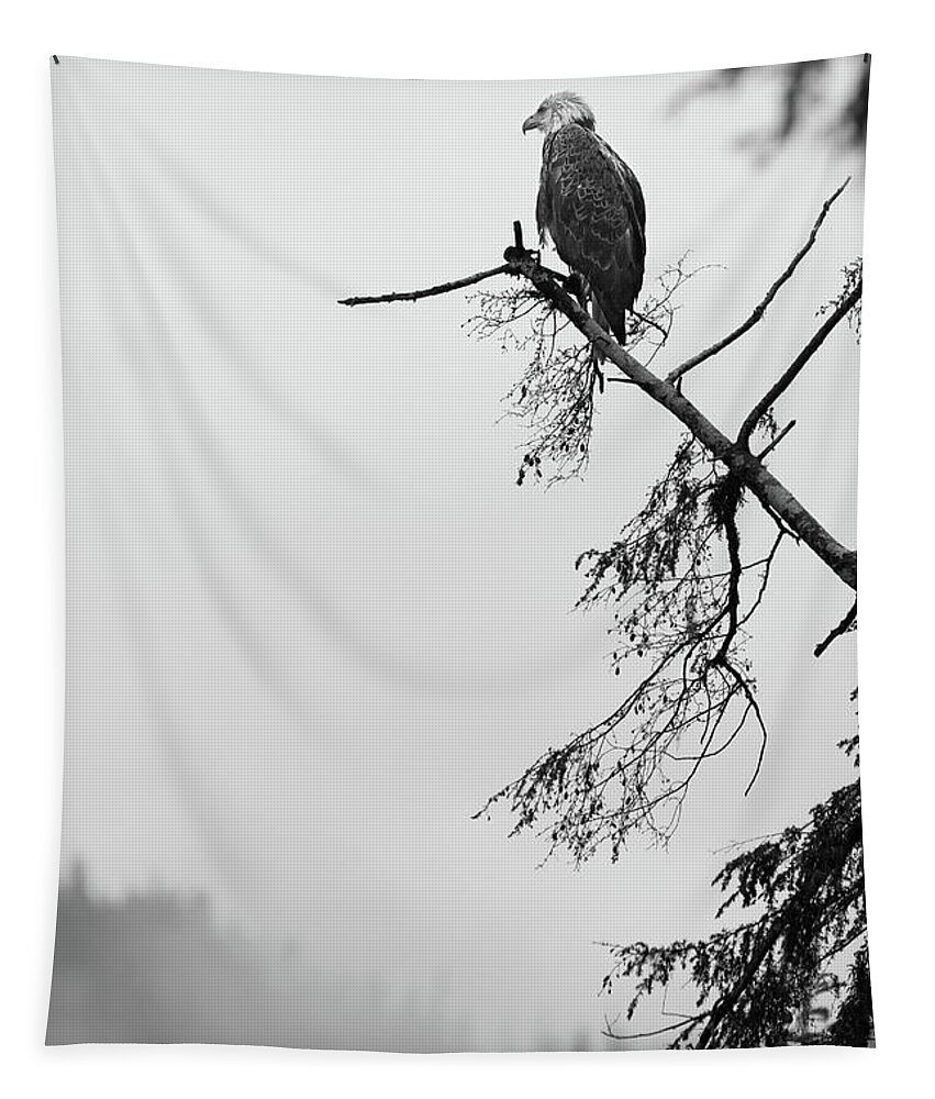  Tapestry featuring the photograph Eagle Black and White by Michael Rauwolf