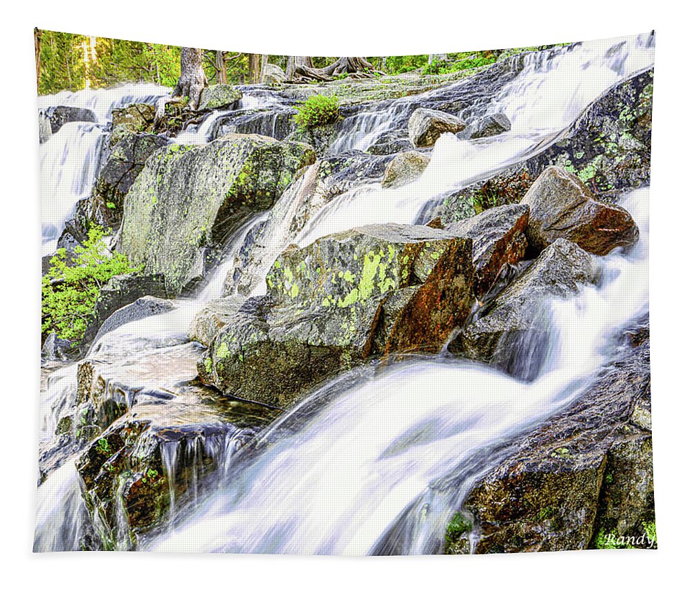 Waterfall Tapestry featuring the photograph Eagle Falls Side View by Randy Bradley