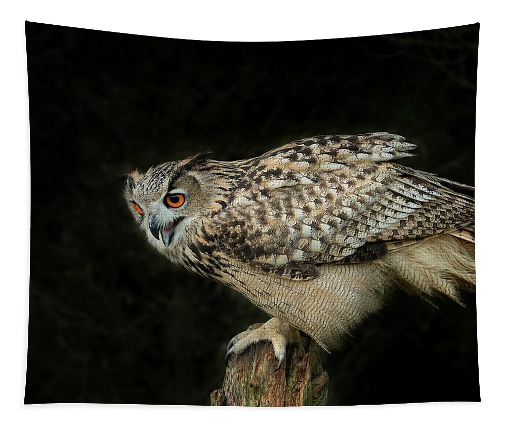 Owl Tapestry featuring the photograph Eagle-owl by CR Courson