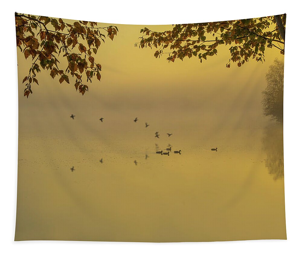 Haley Pond Tapestry featuring the photograph Early Arrivals the Migration in Maine by Jeff Folger