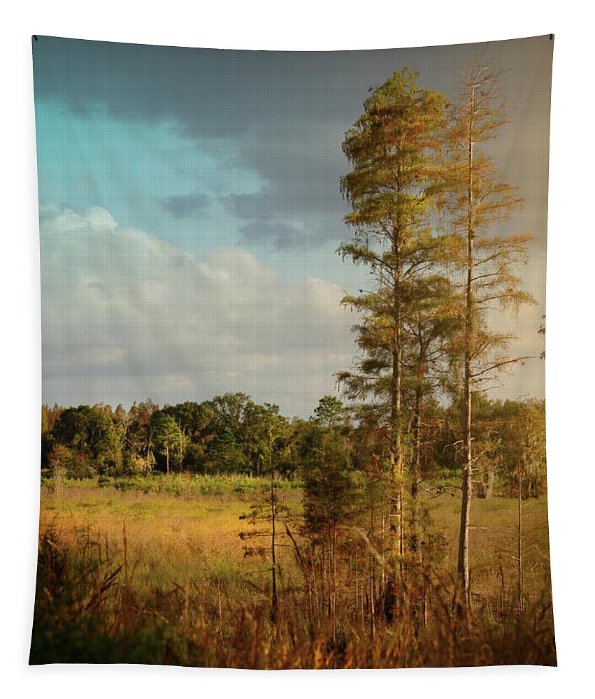 Trees Tapestry featuring the photograph Early Florida Fall by Marvin Spates