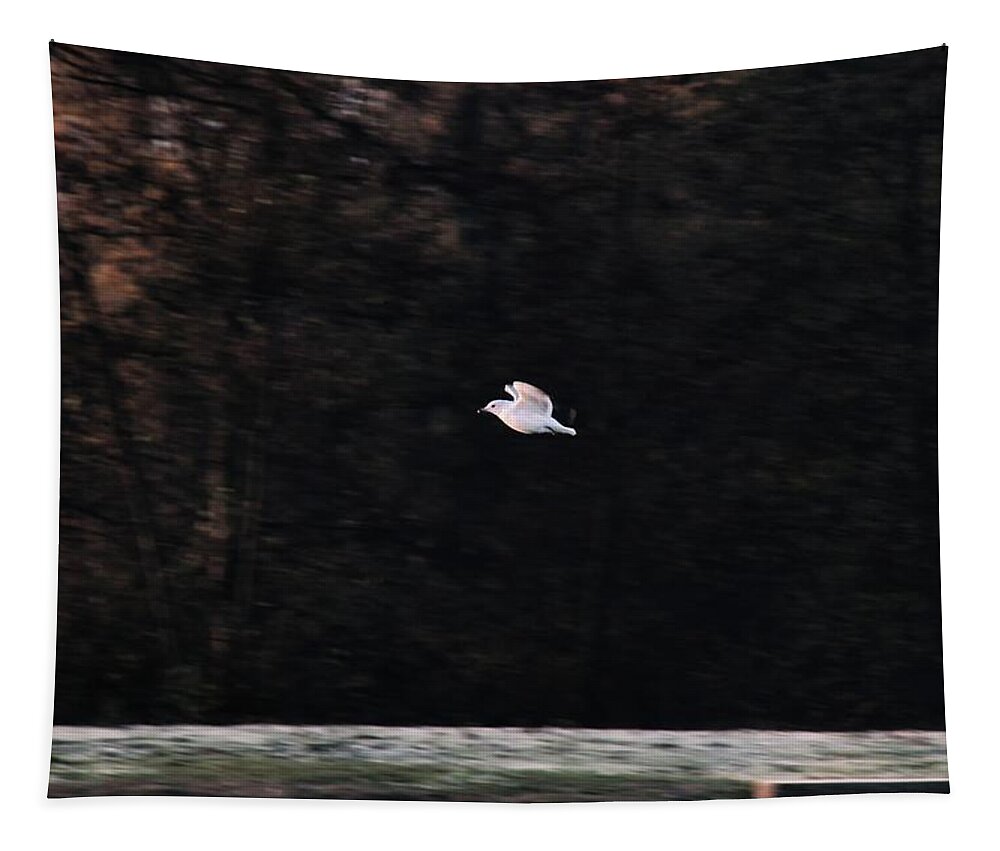  Bird Tapestry featuring the photograph Early Morning 3 by Jaroslav Buna