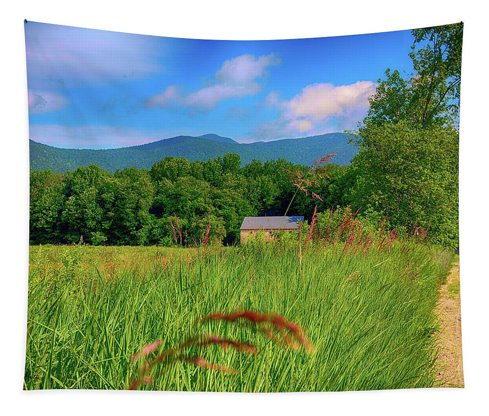 Mountains Tapestry featuring the photograph Early Morning by Alison Belsan Horton