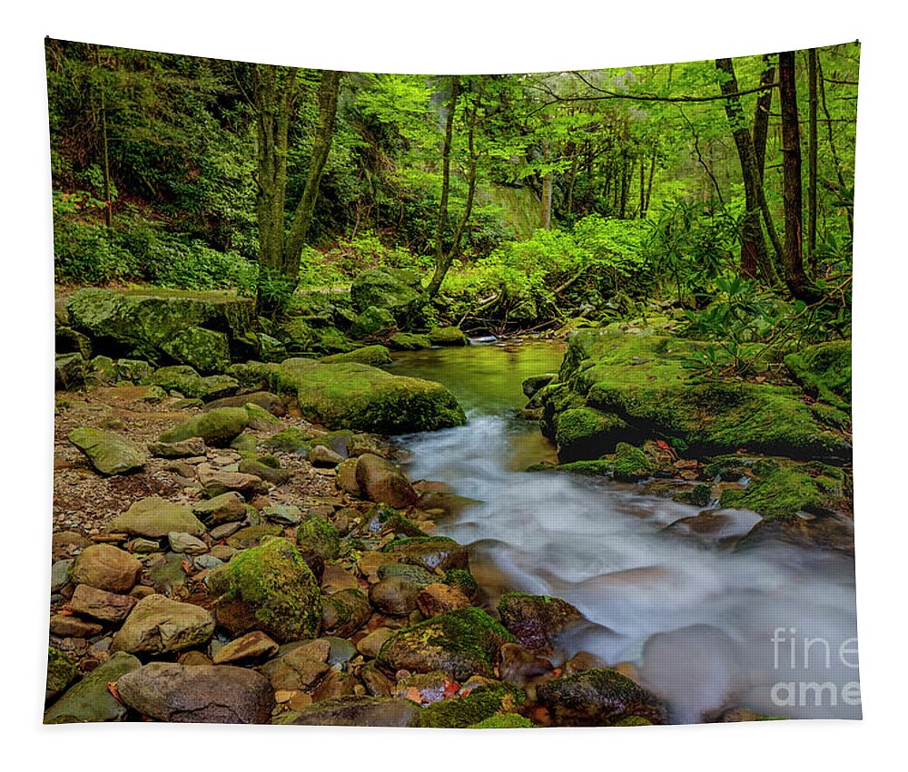 Morning Tapestry featuring the photograph Early Morning on Rocky Fork by Shelia Hunt