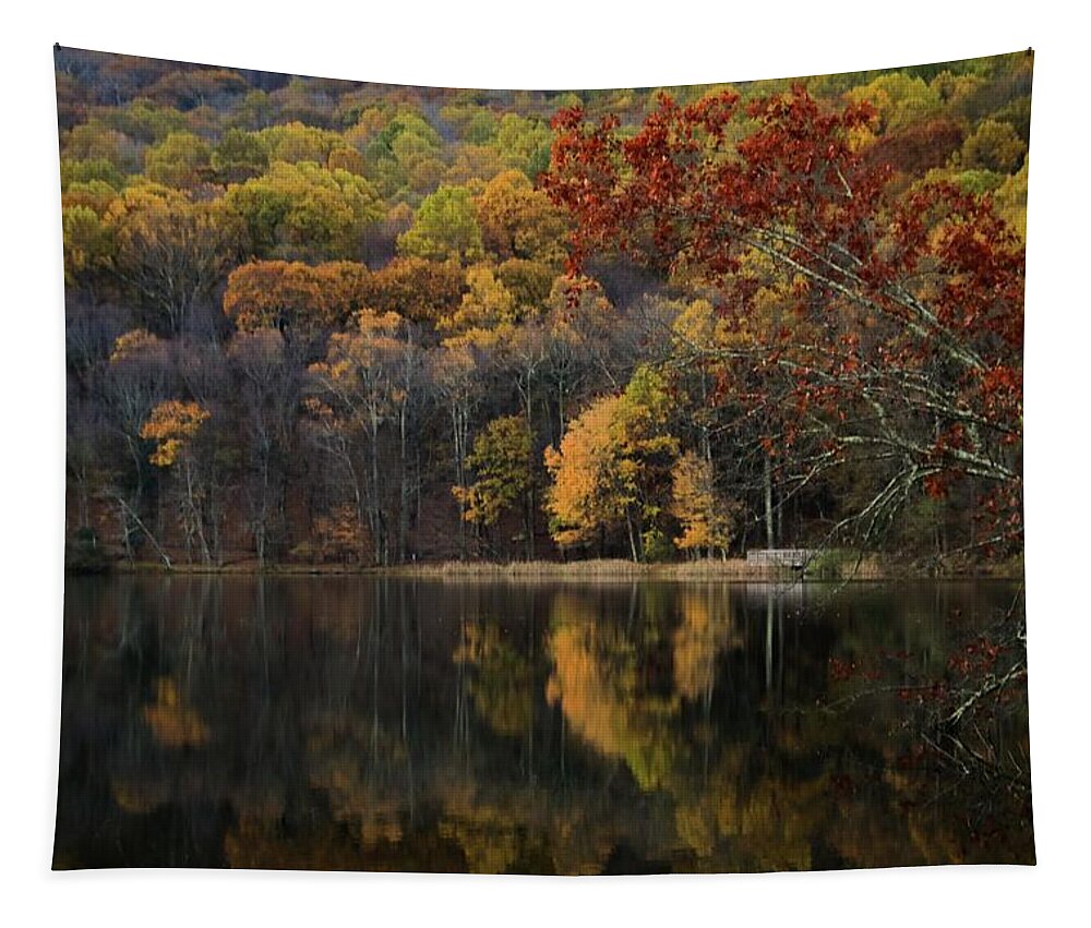 Peaks Of Otter Tapestry featuring the photograph Early Morning Reflections by Deb Beausoleil