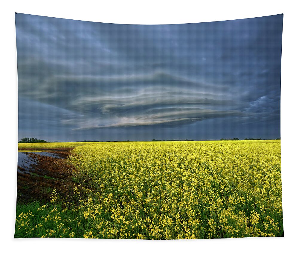Landscape Tapestry featuring the photograph Early Morning Supercell by Dan Jurak