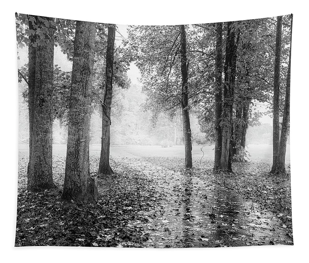 Carolina Tapestry featuring the photograph Early Morning Walk Black and White by Debra and Dave Vanderlaan