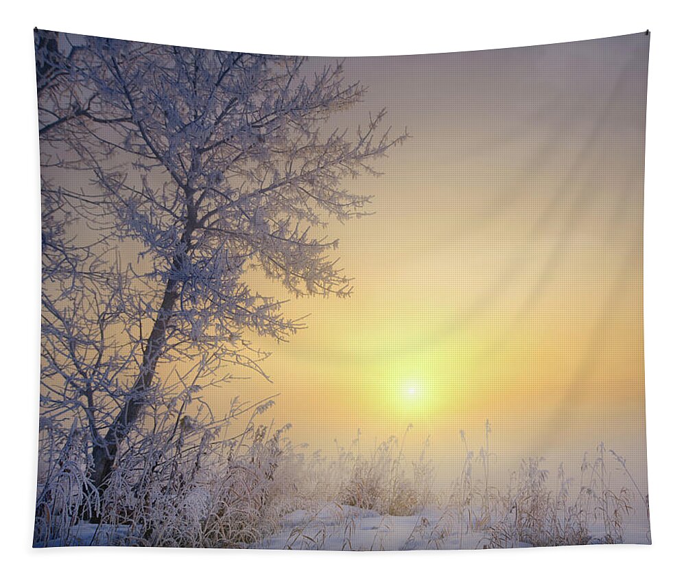 Landscape Tapestry featuring the photograph Early spring or late winter? by Dan Jurak