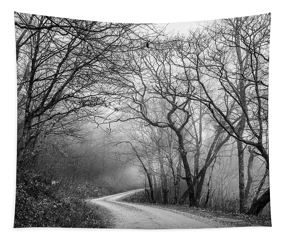 Roads Tapestry featuring the photograph Early Winter Light in the Trees Black and White by Debra and Dave Vanderlaan