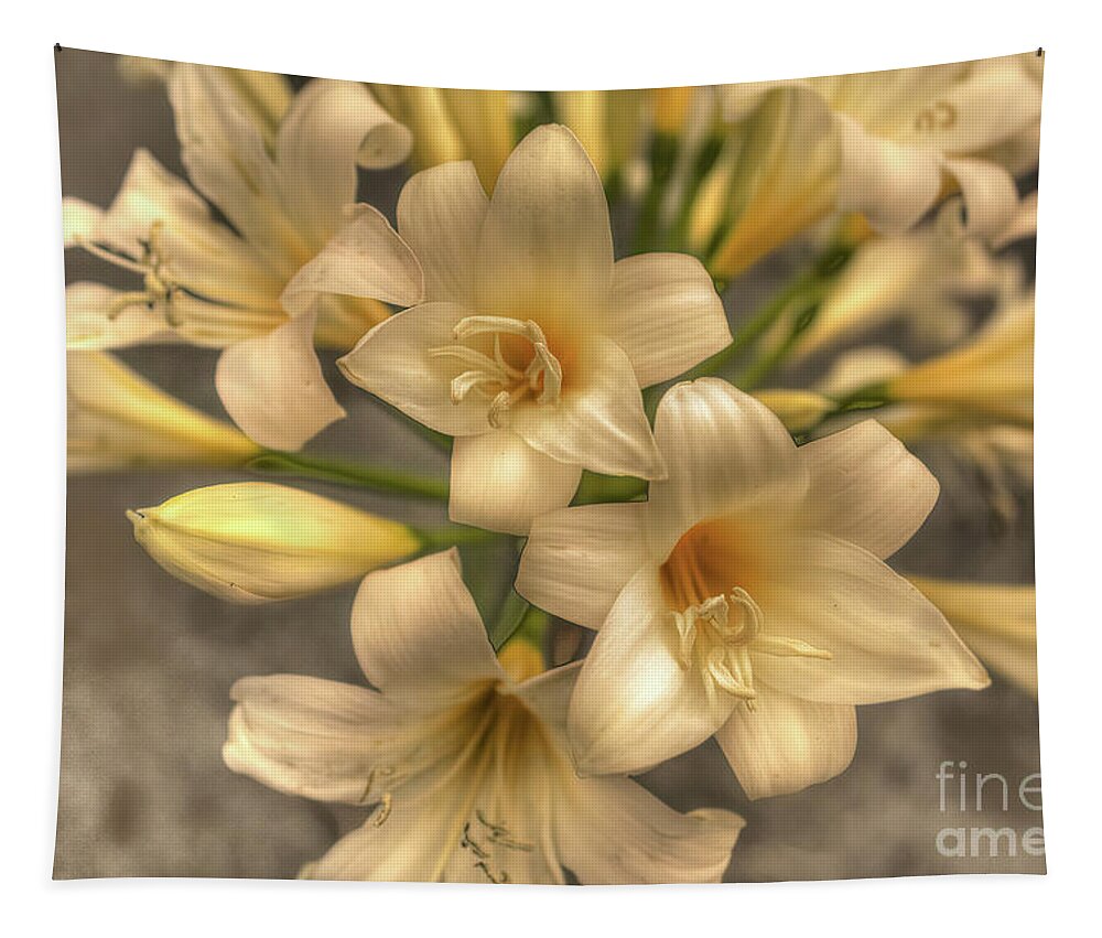 Flowers Tapestry featuring the photograph Easter Lily by Elaine Teague