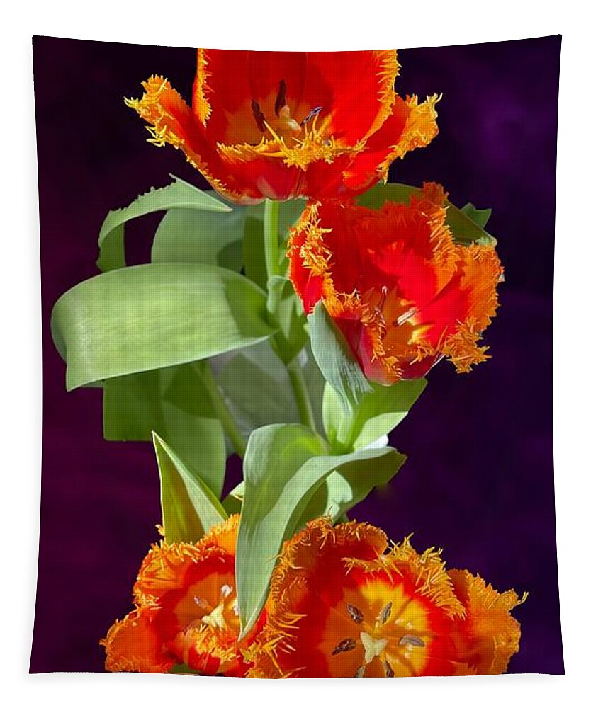 Easter Tapestry featuring the photograph Easter Tulips by John Anderson