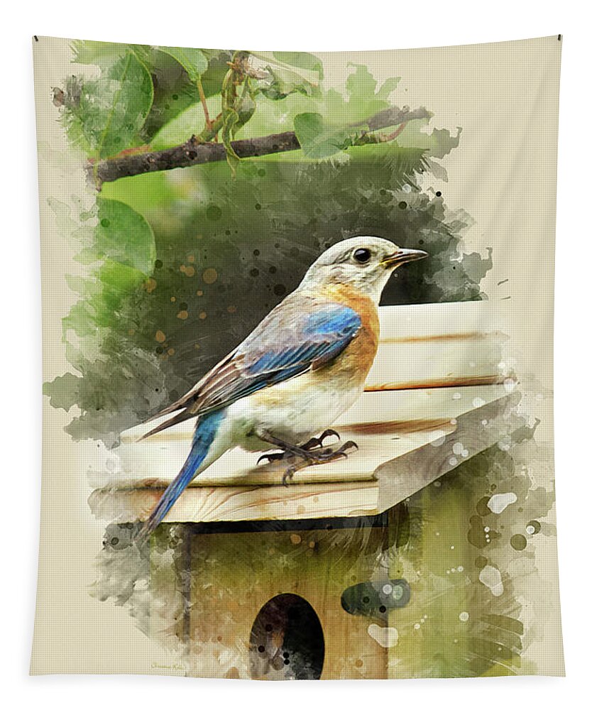 Bluebird Tapestry featuring the mixed media Eastern Bluebird Watercolor Art by Christina Rollo