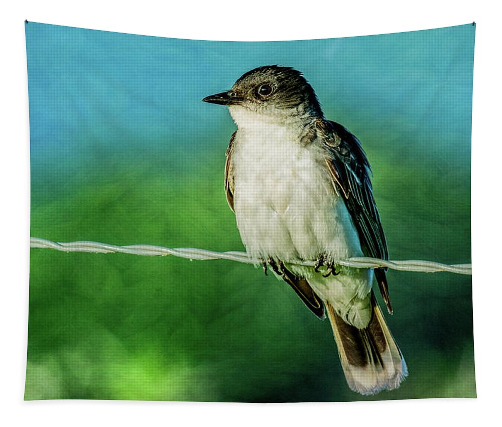 Eastern Kingbird Tapestry featuring the photograph Eastern Kingbird, Cades Cove by Marcy Wielfaert