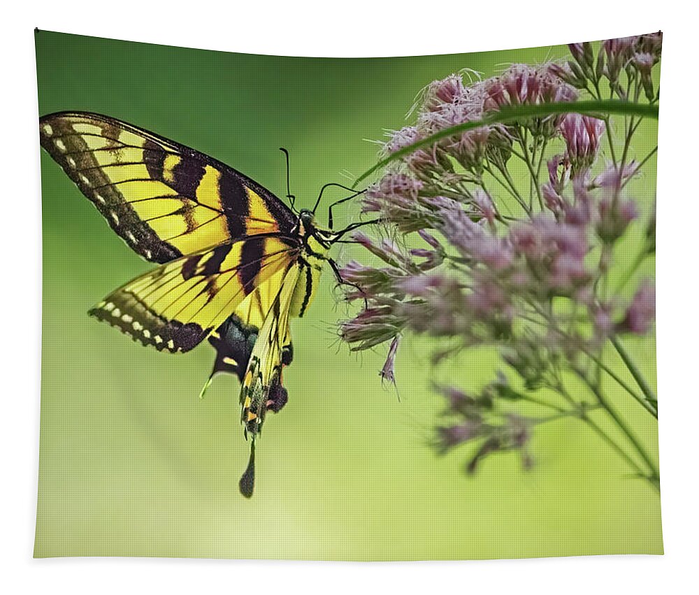 Butterfly Tapestry featuring the photograph Eastern Swallowtail Butterfly Gathering Nectar by Ira Marcus