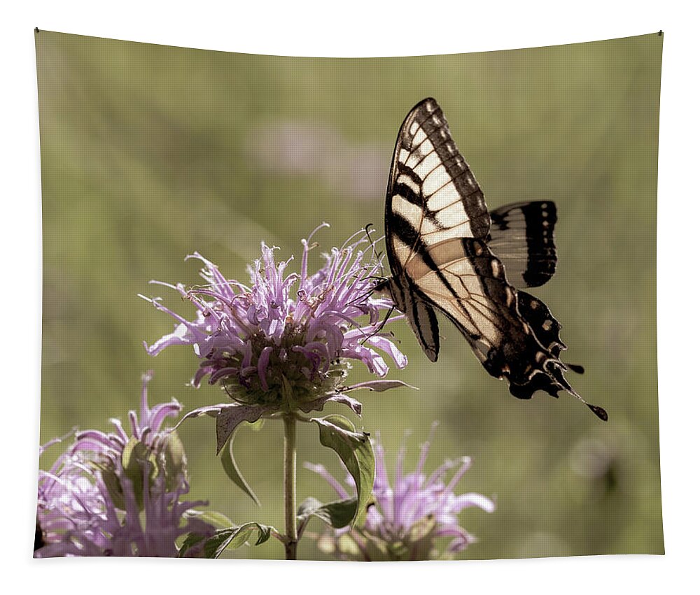Animals Tapestry featuring the photograph Eastern Tiger Swallowtail Butterfly at Dusk by Amelia Pearn