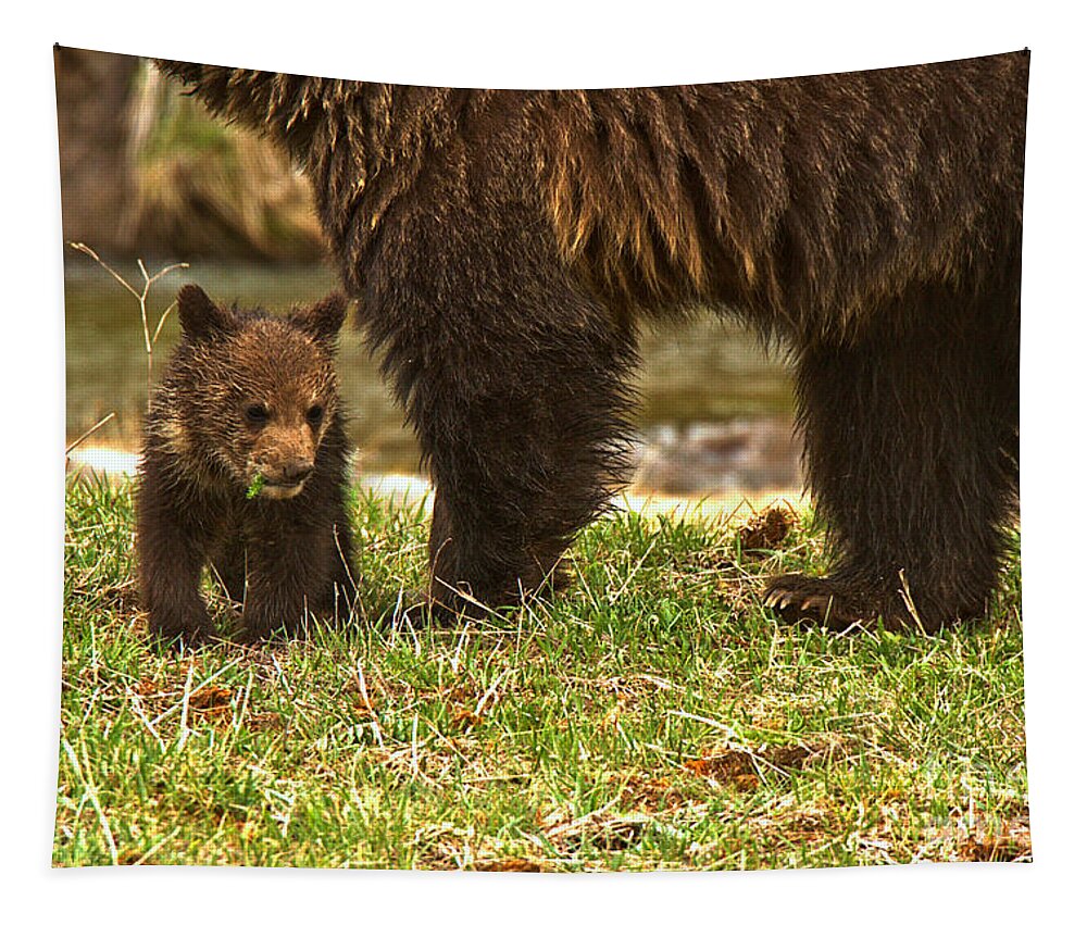 Yellowstone Tapestry featuring the photograph Eating Next To Mom by Adam Jewell