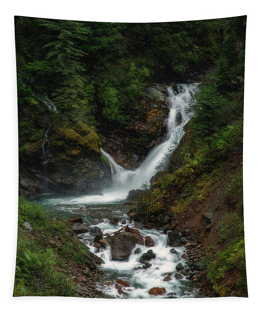 Brown Tapestry featuring the photograph Ebner Falls in Juneau Alaska by Robert J Wagner