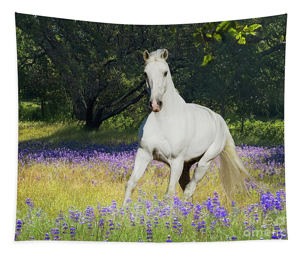 White Horses Tapestry featuring the digital art Eddie in Lupines by Melinda Hughes-Berland