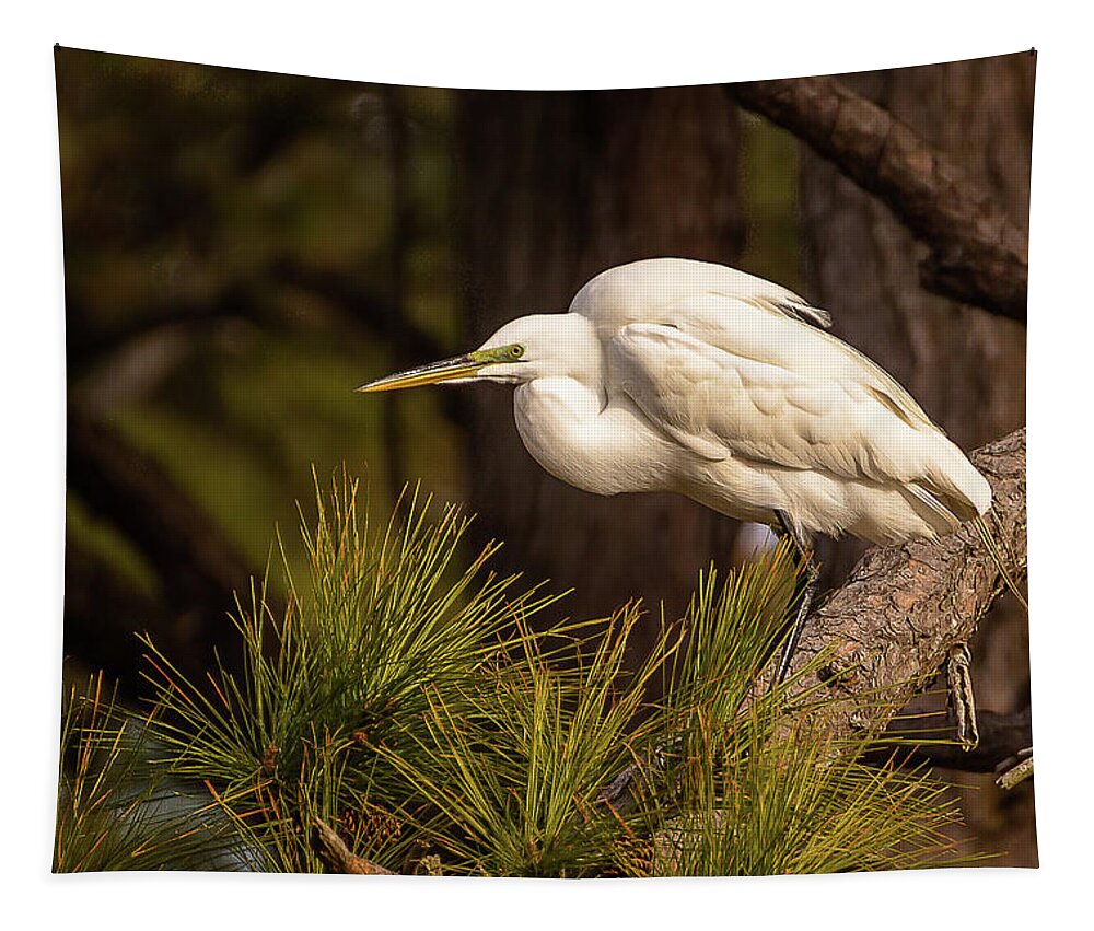 Chincoteague Tapestry featuring the photograph Egret at take-off by Robert Miller