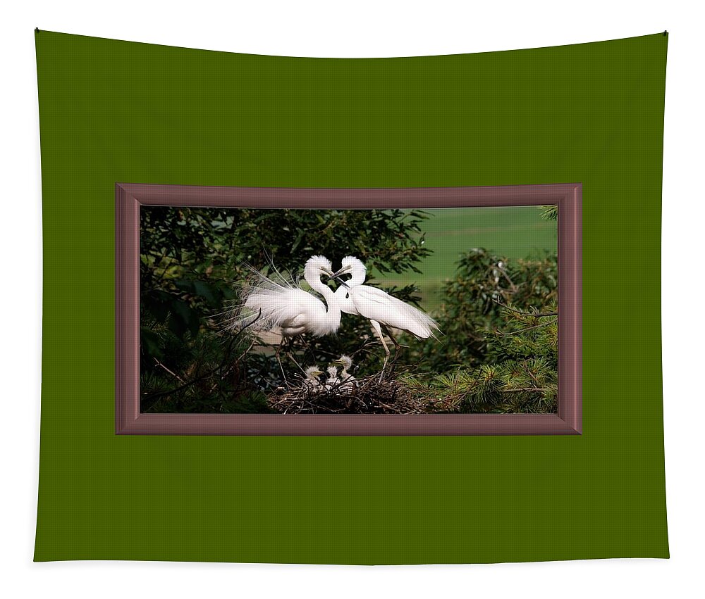 Egret Tapestry featuring the photograph Egret Family by Nancy Ayanna Wyatt