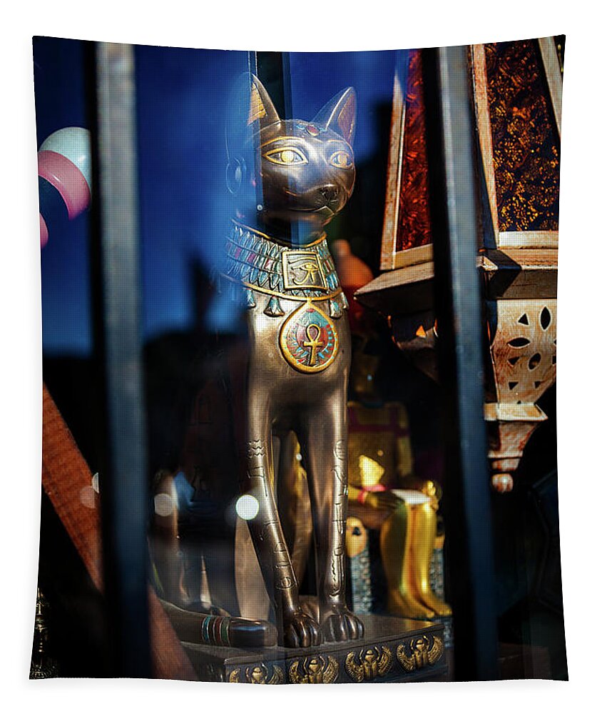 Egypt Tapestry featuring the photograph Egyptian Cat by Craig J Satterlee