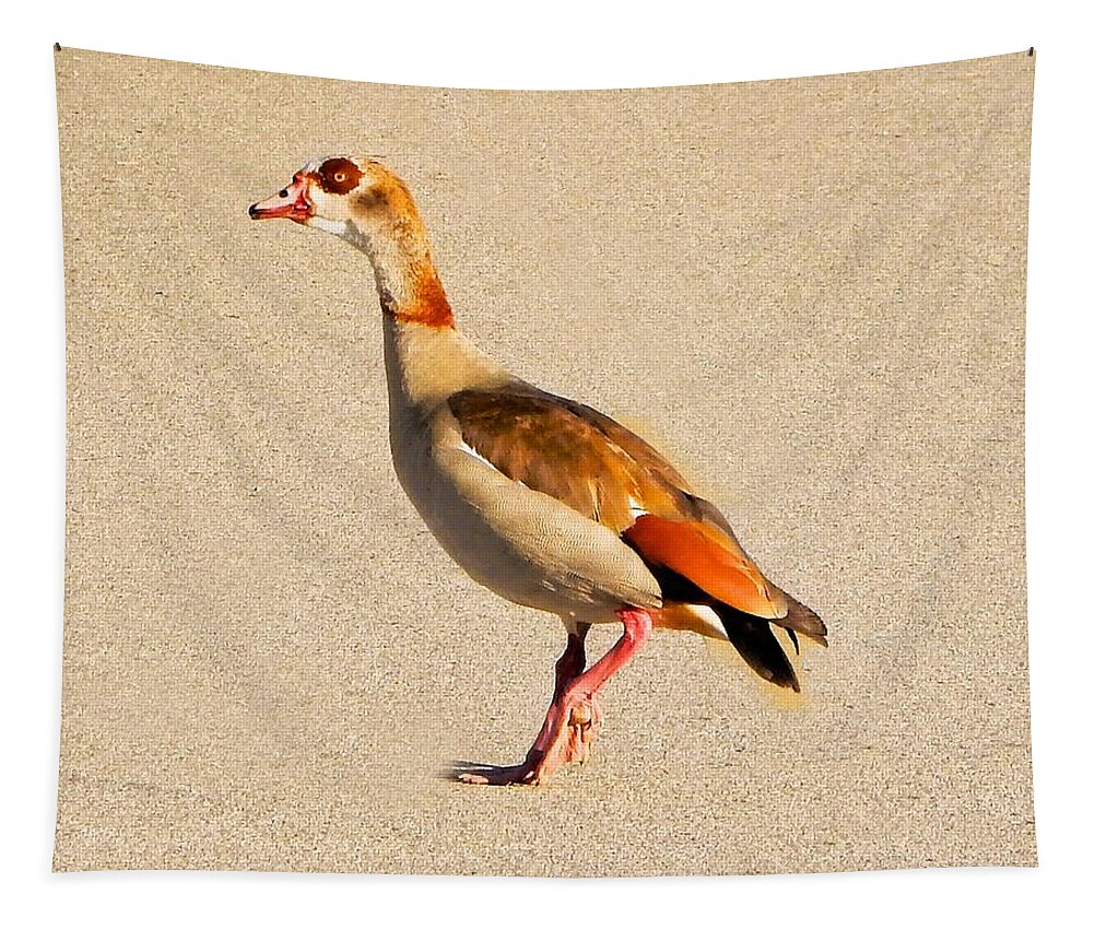 Bird Tapestry featuring the photograph Egyptian Goose Live by Andrew Lawrence