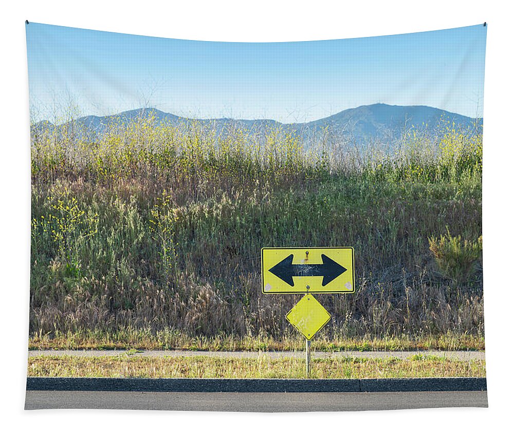 Colorful Simple Road Sign Arrow Two-way Street Santa Barbara Ca California Landscape Golden Hour Weeds Plants Mountain Sky Tapestry featuring the photograph Either Way SS by Perry Hambright