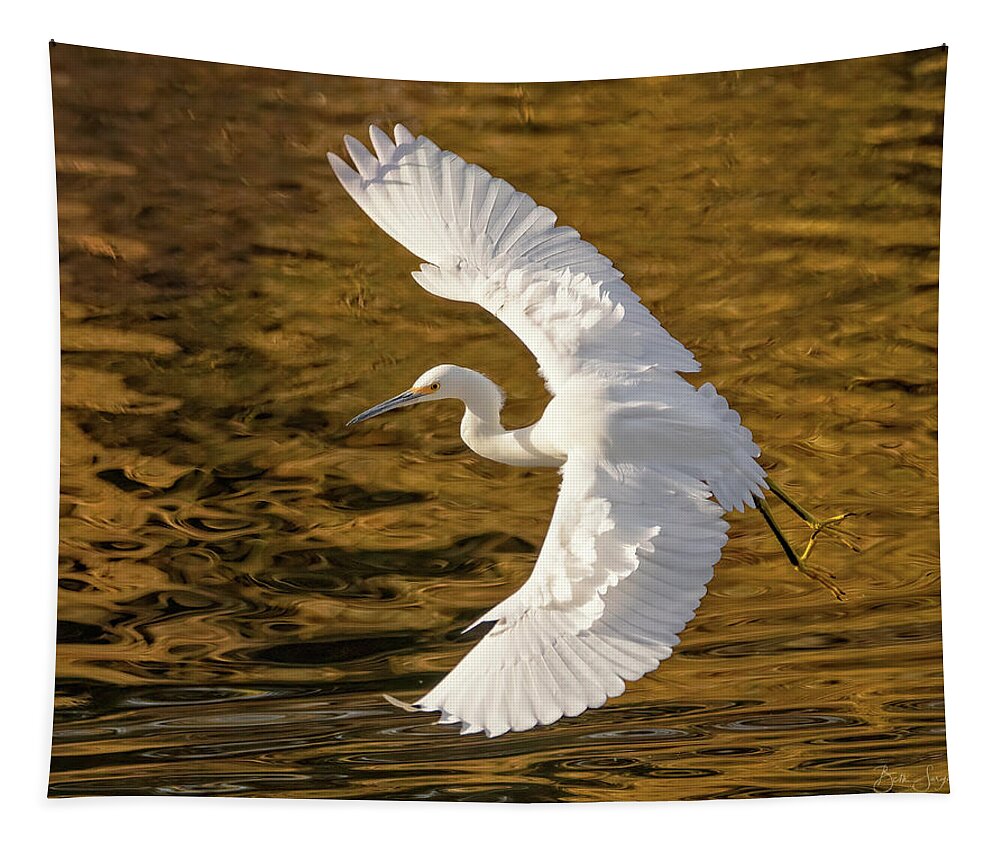 Snowy Egret Tapestry featuring the photograph Elegance by Beth Sargent