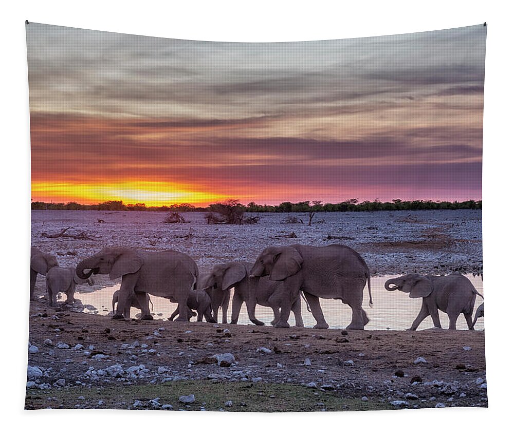 Elephants Tapestry featuring the photograph Elephant Herd at Okaukuejo Waterhole at Sunset by Belinda Greb
