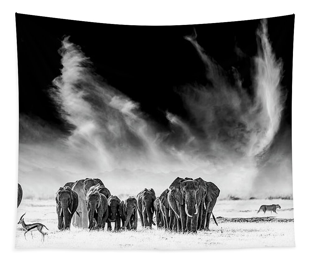 Black Tapestry featuring the photograph Elephants, Lion and Gazelle - Amboseli, Kenya by Stu Porter