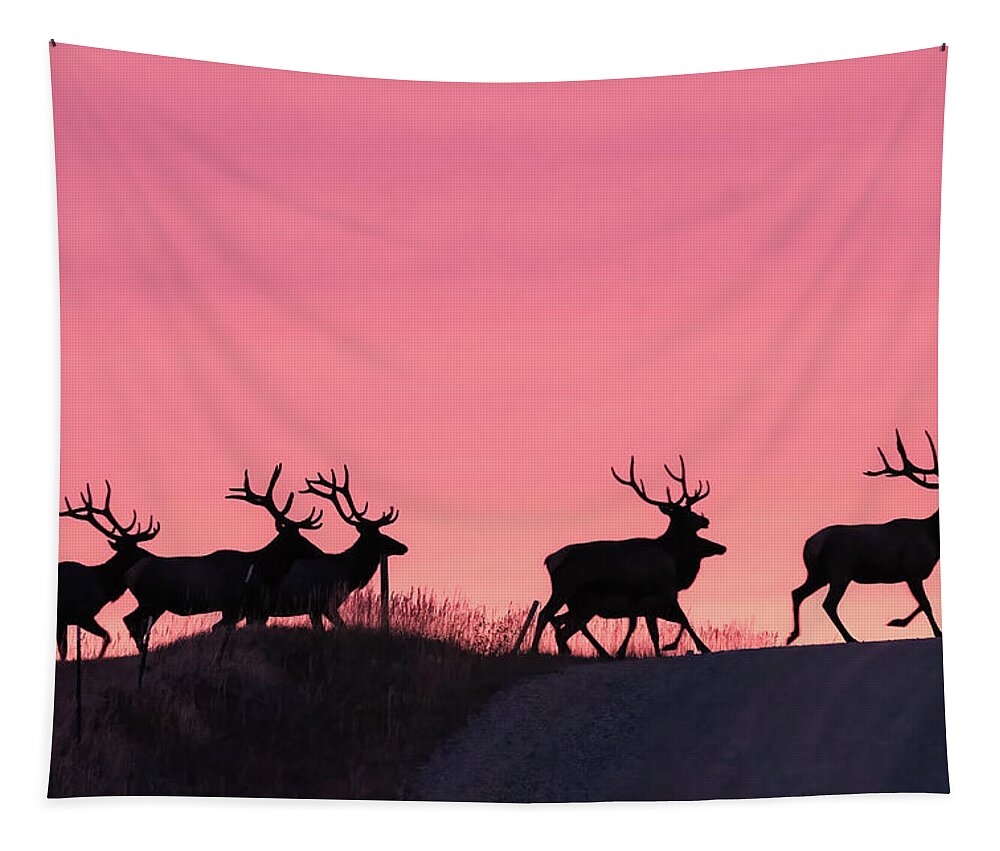 Elk Tapestry featuring the photograph Elk Crossing Road by Gary Beeler