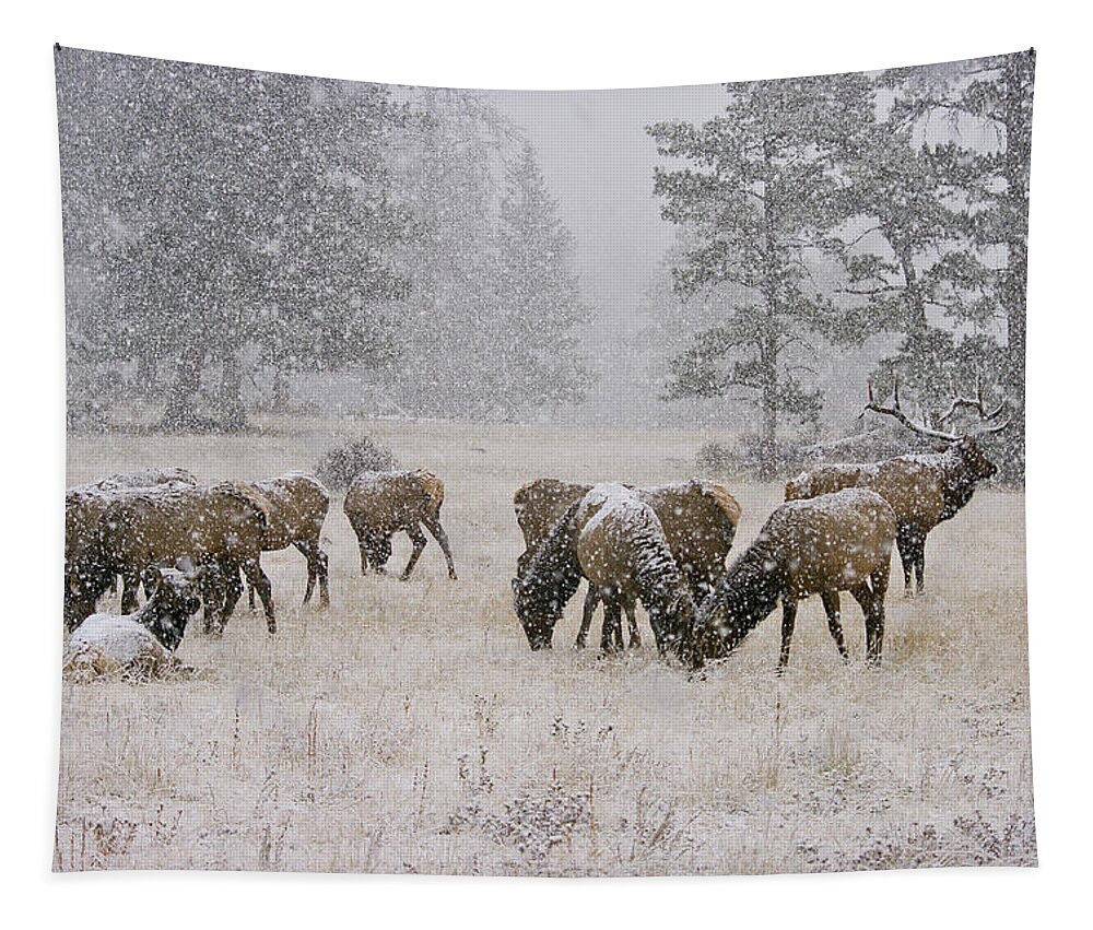 Elk Tapestry featuring the photograph Elk in a snow storm - 1135 by Jerry Owens